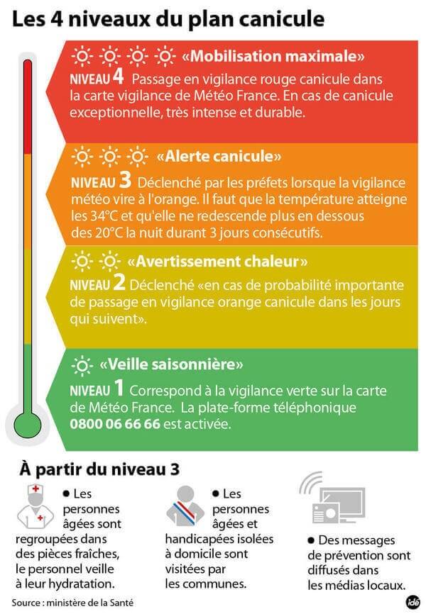 PLAN-CANICULE